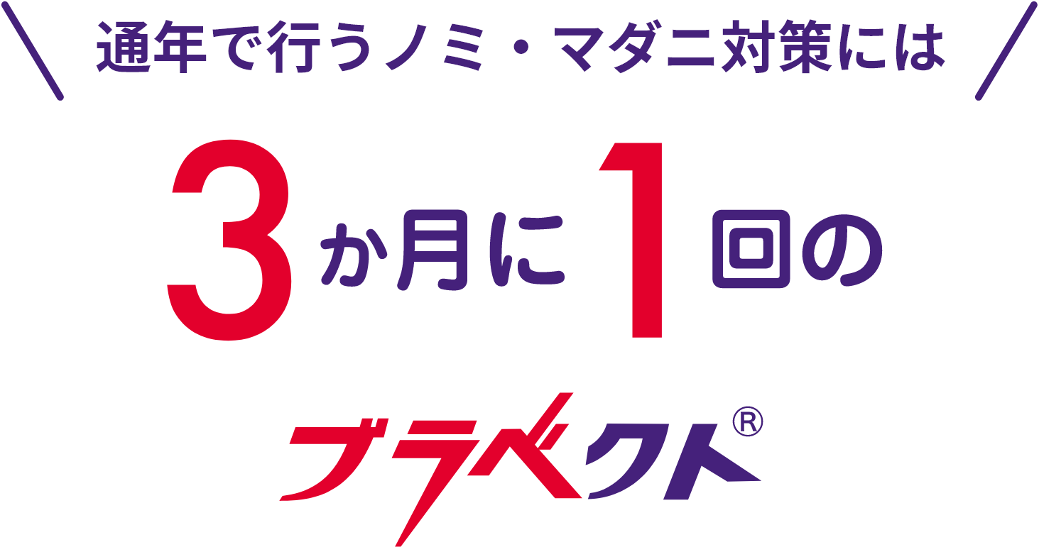 通年で行うノミ・マダニ対策には3か月に1回のブラベクト