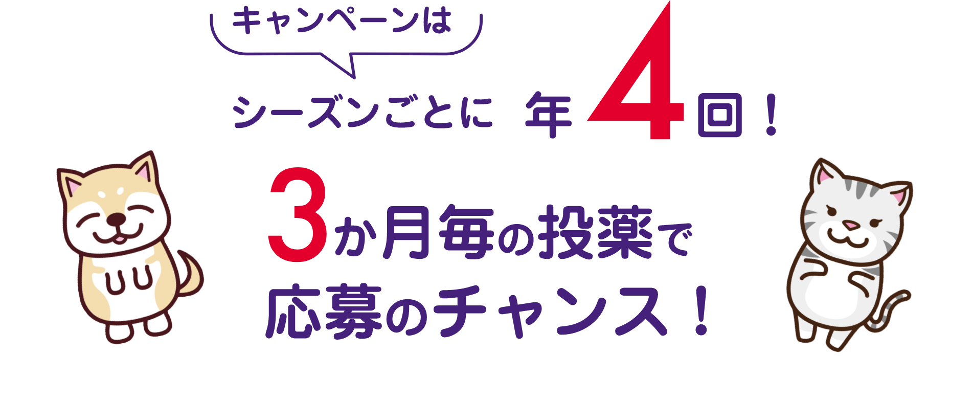 シーズンごとに年4回！　3か月毎の投薬で応募のチャンス！