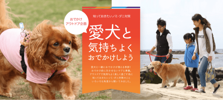 愛犬と気持ちよくおでかけしよう