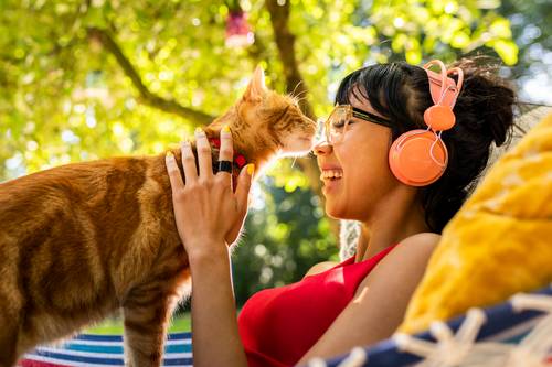 猫ノミによる皮膚炎などの症状はあなどれない 人間に症状をもたらす可能性もある 猫ノミ 猫マダニ対策 駆除なら3か月に1回 ブラベクト スポット猫用