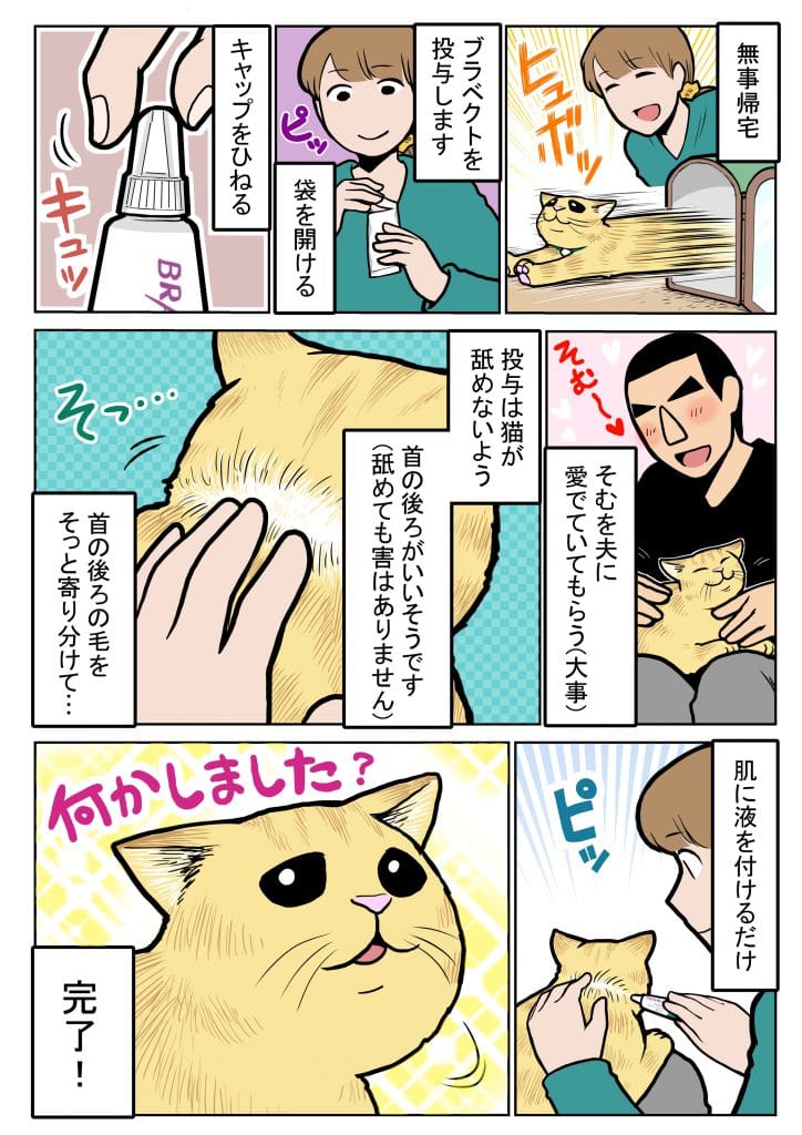 第3話 君の名は モフくん 体験マンガ タレ目猫そむのブラベクト体験記 そむの気持ち ブラベクト スポット猫用 第3話 君の名は モフくん 体験マンガ タレ目猫そむのブラベクト体験記 そむの気持ち ブラベクト スポット猫用