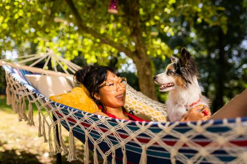 犬の生理はいつからいつまで続く？生理期間・発情周期に関する基礎知識と避妊手術の重要性について