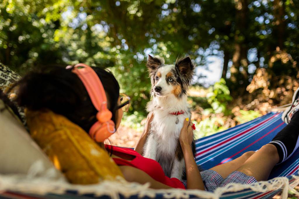 犬が耳を痒がる 犬の耳ダニ 耳ヒゼンダニ 感染症の原因 症状 治療 予防方法とは ブラベクト 犬用