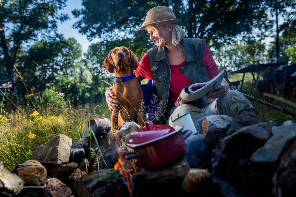 犬のノミダニ対策の薬はどれくらいの期間必要 駆除薬の必要性と投与 効果の時期について ブラベクト 犬用