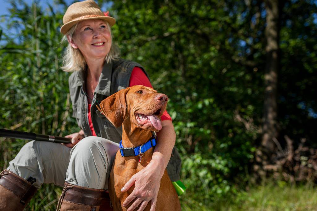 犬のノミダニ対策の薬はどれくらいの期間必要 駆除薬の必要性と投与 効果の時期について ブラベクト 犬用