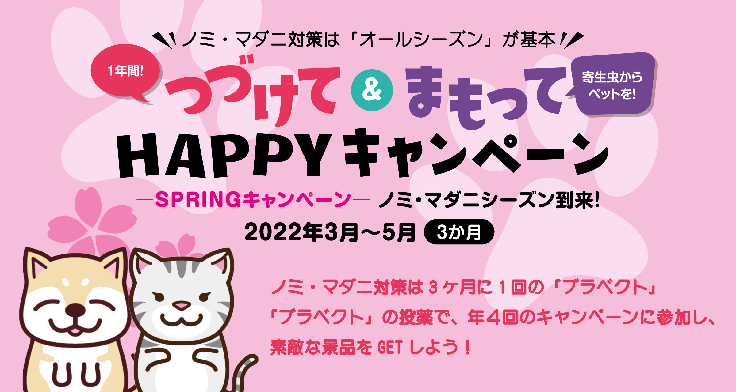 つづけて＆まもって HAPPYキャンペーン実施中！